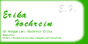 erika hochrein business card